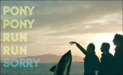 Pour finir, Pony Pony Run Run est un groupe d'lectro-dance ainsi que de ...