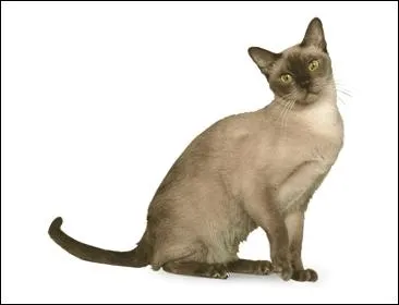 Et quel est celui-ci ?