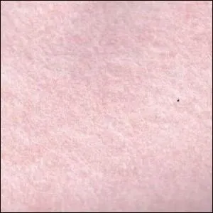 Vous avez dpass la moiti !