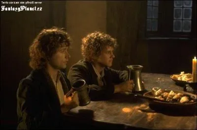 Comment se nomme l'auberge o les quatre Hobbits rencontrent Aragorn alias Grand-Pas ?