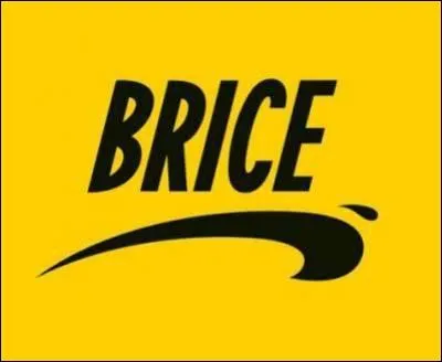Qui a ralis  Brice de Nice  ?