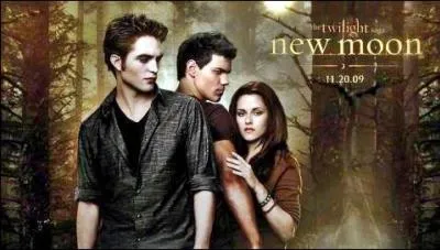 Pourquoi Taylor Lautner a-t-il failli ne pas avoir le rle de Jacob dans le deuxime volet de  Twilight  ?