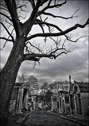 Qui est mort le plus de fois dans la srie ?