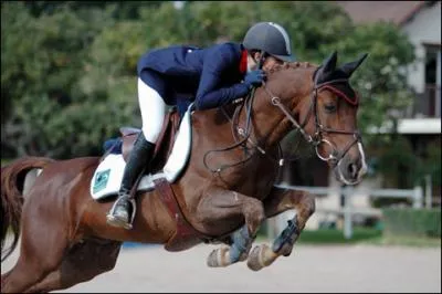 Et ici, quelle est la race de cet Anglais ?