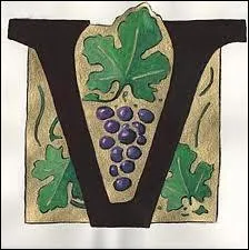 Aaacdeiilorsttv (v_____e)