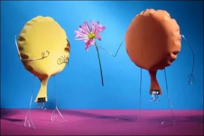 Dites-le avec des fleurs. Qu'exprimez-vous lorsque vous offrez des colchiques ?