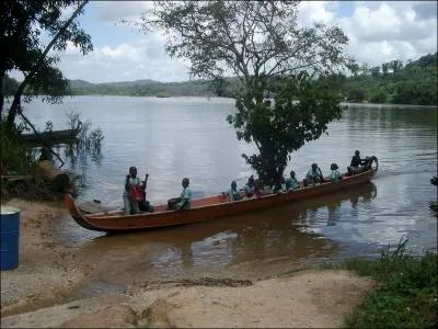 Dans ce dpartement franais, on emmne les enfants  l'cole en pirogue, survole par des aras !