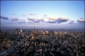 Quelle est la ville la plus peuple au monde ?