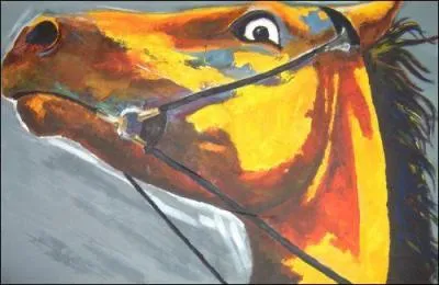 Tu es tranquillement en train de regarder un cheval dans son box, quand tout  coup, il se met  bouger les oreilles et le blanc de ses yeux apparat distinctement :