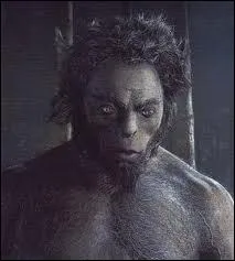 Comment s'appelle cet animal ?