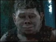 Comment s'appelle cette crature ?