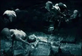 Comment s'appelle cette crature ?