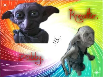 Comment s'appellent ces cratures ?