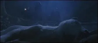 Comment s'appelle cet animal ?