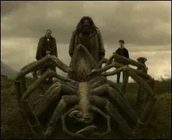 Quel est cet animal ?