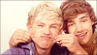 Quelle bromance est la plus populaire ?