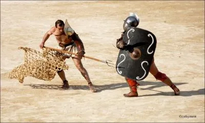 On l'appelle l'araigne gladiateur, elle a une faon trs trange d'attraper sa proie.