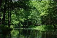 Comment s'appelle cette fort ?