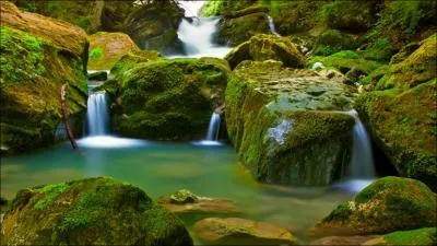 Elle nous a chant : Voyage, voyage !