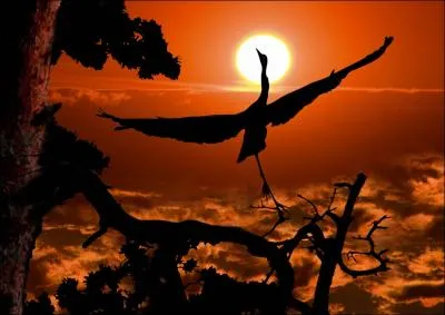 Ce ralisateur de cinma populaire dclara un jour : Ah, les franais, a voyage mal, c'est comme le camembert !