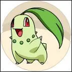 Qui est ce Pokémon ?