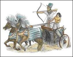 L'Égypte découvrit les chars de combat grâce au peuple Hyksôs qui venait de...