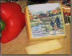 Ce colon s'est install en 1842 dans le rang 9 de Sommerset, aujourd'hui Plessiville. En son honneur on donna son nom  un fromage. C'est...