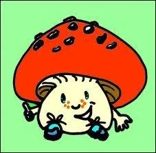 Lequel de ces champignons peut tre dangereux si l'on en abuse ?