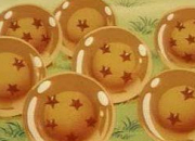 Quiz Dragon Ball Z : Les boules de cristal (14)