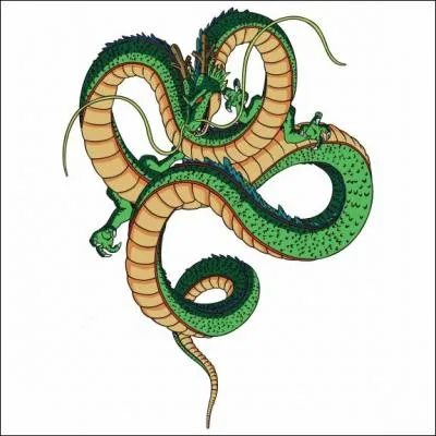 Qui a invoqu Shenron pour la premire fois ?