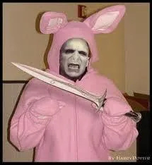 Qui est dans ce drle de dguisement ?