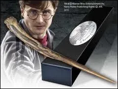 Avec le bois de quel arbre est faite la baguette de Harry ?