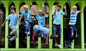 Comment s'appelle le groupe familial de Ross Lynch ?