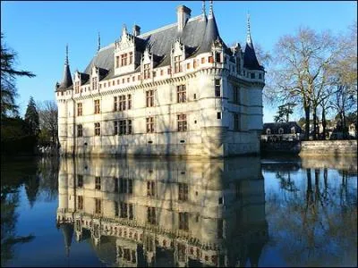Bti  l'extrmit d'une le de l'Indre, il illustre la premire Renaissance franaise, ses hautes toitures d'ardoises et ses tourelles d'angle voquent le Moyen ge :