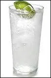 Il fait chaud, vous aimeriez un Gin tonic  l'apritif, quels ingrdients va rajouter le serveuse dans votre gin ?