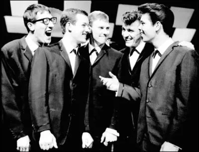 Groupe de rock britannique cre en 1958. Considr comme le pionnier du rock britannique. Cliff Richards fit partie du groupe. Leur single 'Apache' bouleverse la musique pop en 1960.