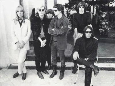 Groupe de rock amricain de la fin des annes 1960, li  l'aventure de la Factory d'Andy Warhol qui les produit. La chanteuse allemande Nico et Lou Reed, chanteur amricain, firent partie du groupe.