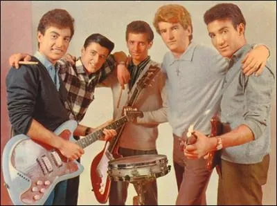 Groupe de rock franais fond en 1959. Ce groupe compta Eddy Mitchell parmi ses membres. Leurs succs comprendront : 'Be-Bop-A-Lula', 'Tu parles trop', 'Danila', 'Dactylo Rock'.