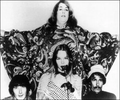 Groupe de rock amricain, pop psychdlique form en 1965. 'California Dreamin', sorti en 1965 et 'Monday, Monday' sorti en 1966, comptent parmi leurs succs.