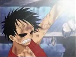 Qui Luffy bat-il ?