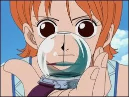 Quelle tait la destination du chapeau de paille aprs le cap des Jumeaux  selon  le Log Pose ?