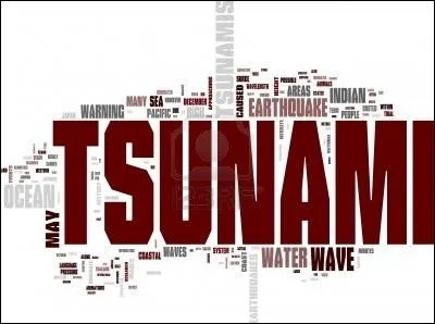 Que signifie le mot  tsunami  ?