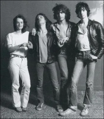 Groupe de rock franais cre en 1976. C'est l'un des rares  s'exporter dans d'autres pays. On compte parmi leurs succs : 'Cendrillon', 'New-York avec toi', 'Un autre monde'.