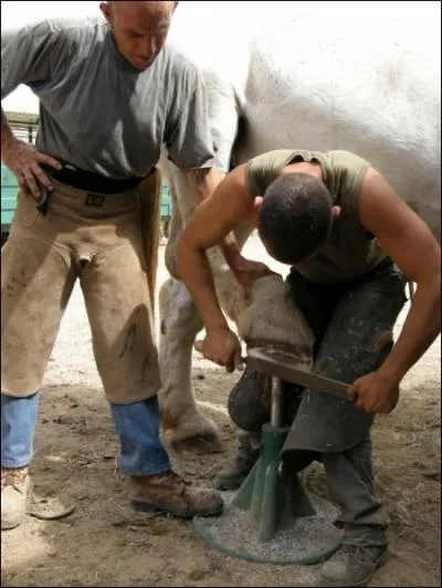 Quel mtier pratique cet homme ?