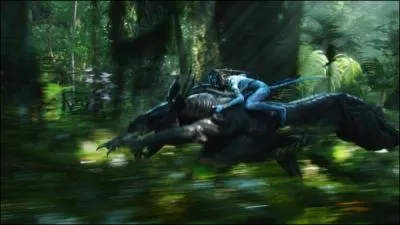 Finalement, qui va assurer la prennit du peuple Omaticaya ?