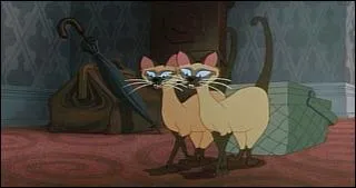 Comment se nomment les deux chats Siamois, dans  La Belle et le Clochard  ?