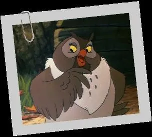 Qui dcouvre Rox quand il est bb ?