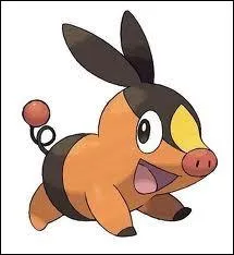 Qui est ce Pokmon ?