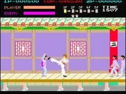 Ce jeu vido est un peu moins connu mais il reste quand mme culte... Quel est ce jeu vido des annes 80 ?