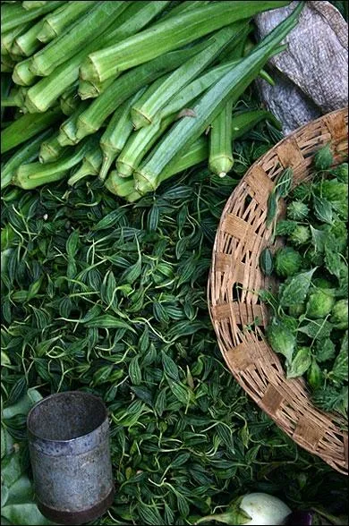 Indice n2 : Son prnom est associ  une autre personnalit, portant l'appellation d'un lgume vert . Quel est son nom ?